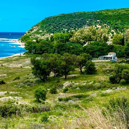 Dreams - Katelios,santa Barbara