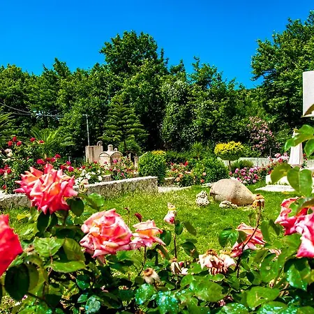 Dreams - Katelios,santa Barbara *