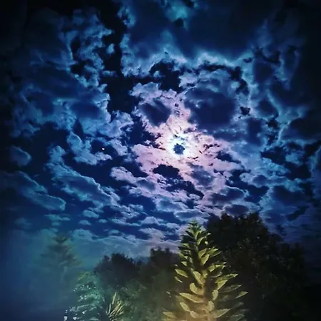 شقة Dreams - Katelios,santa Barbara *