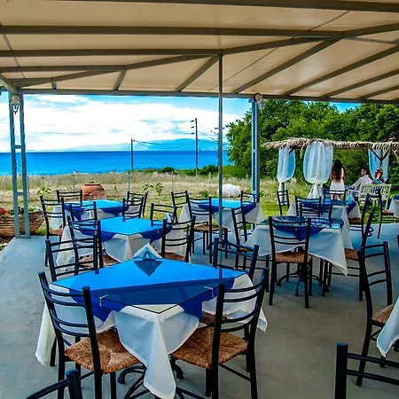 Dreams - Katelios,santa Barbara Katelios