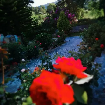 アパート Dreams - Katelios,santa Barbara