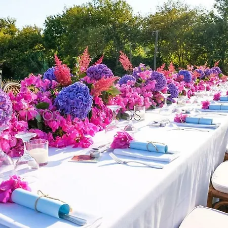 Dreams - Katelios,santa Barbara * カテリオス