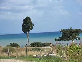 Dreams - Katelios,santa Barbara