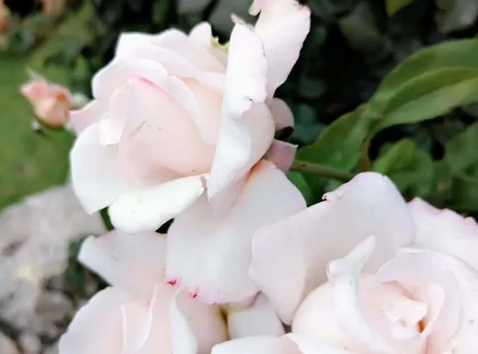 Dreams - Katelios,santa Barbara Apartment Katelios